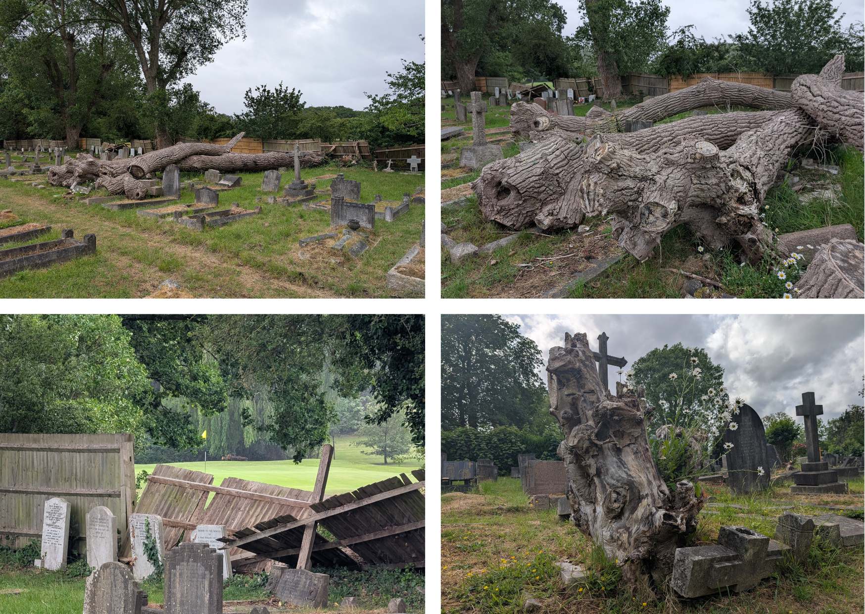 Grave concerns over Hendon cemetery's dead wood