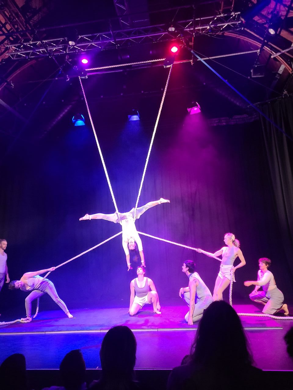 Circus of life